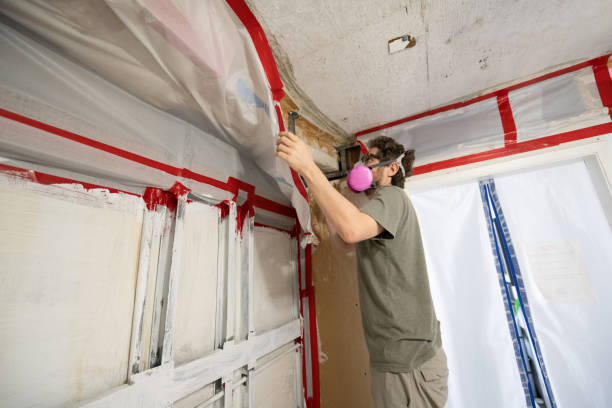 Best Black Mold Removal  in Broadmoor, CA